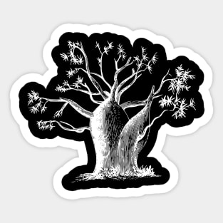 Baobab Tree Sticker